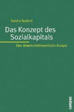 Das Konzept des Sozialkapitals