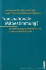 Transnationale Mitbestimmung?