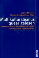 Multikulturalismus queer gelesen