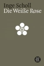 Die weisse Rose