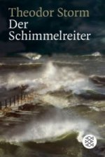 Der Schimmelreiter