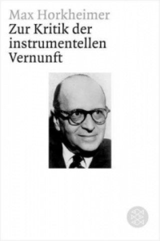 Zur Kritik der instrumentellen Vernunft