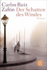 Der Schatten des Windes