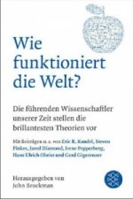 Wie funktioniert die Welt?