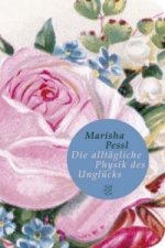Die alltägliche Physik des Unglücks, limitierte Sonderausgabe