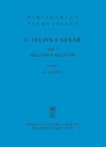 Commentarii Rerum Gestarum, V Pb
