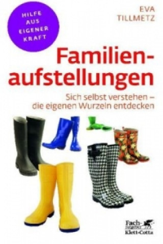 Familienaufstellungen (Fachratgeber Klett-Cotta)