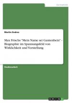 Max Frischs Mein Name sei Gantenbein - Biographie im Spannungsfeld von Wirklichkeit und Vorstellung