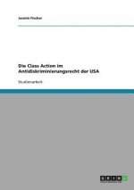 Class Action im Antidiskriminierungsrecht der USA