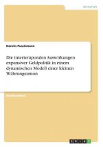 intertemporalen Auswirkungen expansiver Geldpolitik in einem dynamischen Modell einer kleinen Wahrungsunion