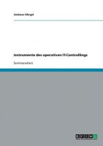 Instrumente des operativen IT-Controllings