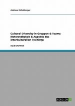 Cultural Diversity in Gruppen und Teams. Notwendigkeit und Aspekte des interkulturellen Trainings