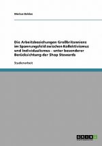 Arbeitsbeziehungen Grossbritanniens im Spannungsfeld zwischen Kollektivismus und Individualismus - unter besonderer Berucksichtung der Shop Stewards
