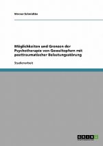 Moeglichkeiten und Grenzen der Psychotherapie von Gewaltopfern mit posttraumatischer Belastungsstoerung