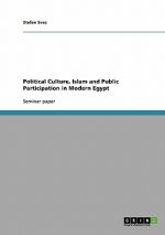 Political Culture, Islam and Public Participation in Modern Egypt