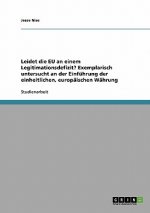 Leidet die EU an einem Legitimationsdefizit? Exemplarisch untersucht an der Einfuhrung der einheitlichen, europaischen Wahrung