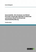 Souveranitat - Die Analysen von Michel Foucault und Giorgio Agamben zu Rolle der souveranen Macht innerhalb der Gesellschaftsordnung