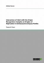 Interaction of Cdc2 with the Origin Recognition Complex at Origins of Replication in Schizosaccharomyces Pombe