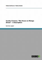 Sandra Cisneros The House on Mango Street - A description