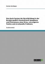 Das duale System der Berufsbildung in der Bundesrepublik Deutschland: Symptome und Phänomene einer Krise, neuralgische Punkte und strukturelle Problem