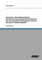 Venezuela - Eine dekonsolidierte Demokratie? Eine Analyse der Entwicklung der venezolanischen Demokratie von Punto Fijo bis zur Funften Republik