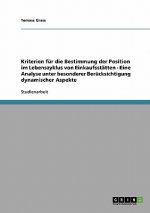 Kriterien fur die Bestimmung der Position im Lebenszyklus von Einkaufsstatten - Eine Analyse unter besonderer Berucksichtigung dynamischer Aspekte