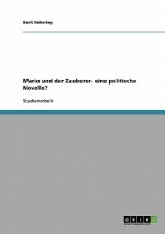 Politische an der Novelle Mario und der Zauberer