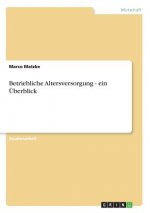 Betriebliche Altersversorgung - ein Überblick
