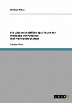 wissenschaftliche Spur in Johann Wolfgang von Goethes Wahlverwandtschaften