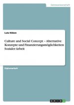 Culture and Social Concept - Alternative Konzepte und Finanzierungsmoeglichkeiten Sozialer Arbeit