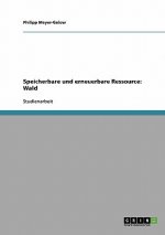 Speicherbare und erneuerbare Ressource