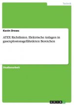 Atex Richtlinien. Elektrische Anlagen in Gasexplosionsgefahrdeten Bereichen