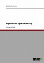 Rolle der sozialen Arbeit bei Menschen mit Migrationshintergrund und psychischen Stoerungen