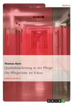 Qualit tssicherung in Der Pflege. Die Pflegevisite Im Fokus