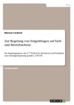 Zur Regelung von Entgeltfragen auf Tarif- und Betriebsebene