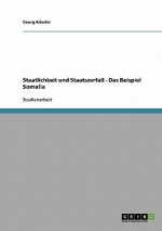 Staatlichkeit und Staatszerfall in Somalia
