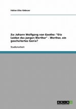 Zu Johann Wolfgang Von Goethe Die Leiden Des Jungen Werther. Werther, Ein Gescheitertes Genie?