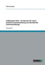 Fallbeispiel Chile - Ein Beweis für einen positiven Zusammenhang von Demokratie und Entwicklung?