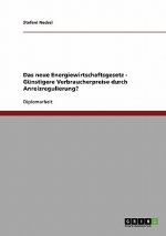 Das neue Energiewirtschaftsgesetz - Günstigere Verbraucherpreise durch Anreizregulierung?