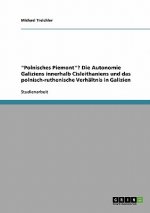 Polnisches Piemont? Die Autonomie Galiziens innerhalb Cisleithaniens und das polnisch-ruthenische Verhaltnis in Galizien