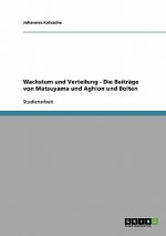 Wachstum und Verteilung - Die Beitrage von Matsuyama und Aghion und Bolten