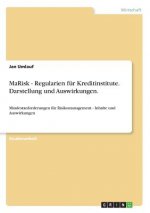 MaRisk - Regularien fur Kreditinstitute. Darstellung und Auswirkungen.
