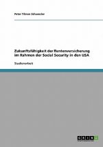 Zukunftsfahigkeit der Rentenversicherung im Rahmen der Social Security in den USA