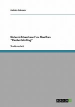 Unterrichtsentwurf zu Goethes Zauberlehrling