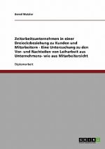 Zeitarbeitsunternehmen in Der Dreiecksbeziehung Zu Kunden Und Mitarbeitern. Die Vor- Und Nachteile Von Leiharbeit Aus Verschiedenen Perspektiven