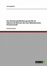Demokratiefoerderung der EU im Libanon im Rahmen der Euro-Mediterranen Partnerschaft