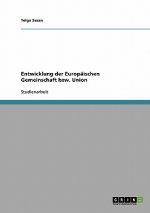 Entwicklung der Europäischen Gemeinschaft bzw. Union