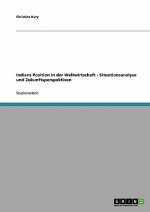 Indiens Position in der Weltwirtschaft. Situationsanalyse und Zukunftsperspektiven