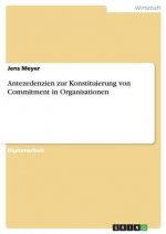Antezedenzien zur Konstituierung von Commitment in Organisationen