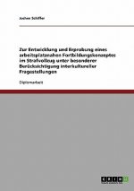 Zur Entwicklung und Erprobung eines arbeitsplatznahen Fortbildungskonzeptes im Strafvollzug unter besonderer Berucksichtigung interkultureller Fragest